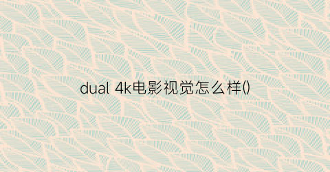 dual4k电影视觉怎么样()